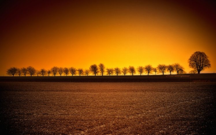 sunset, Landscapes, Trees HD Wallpaper Desktop Background