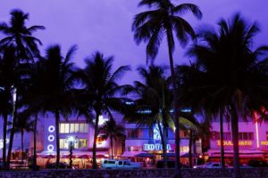 cars, Miami, Street, Lights, Palm, Trees, Hotels