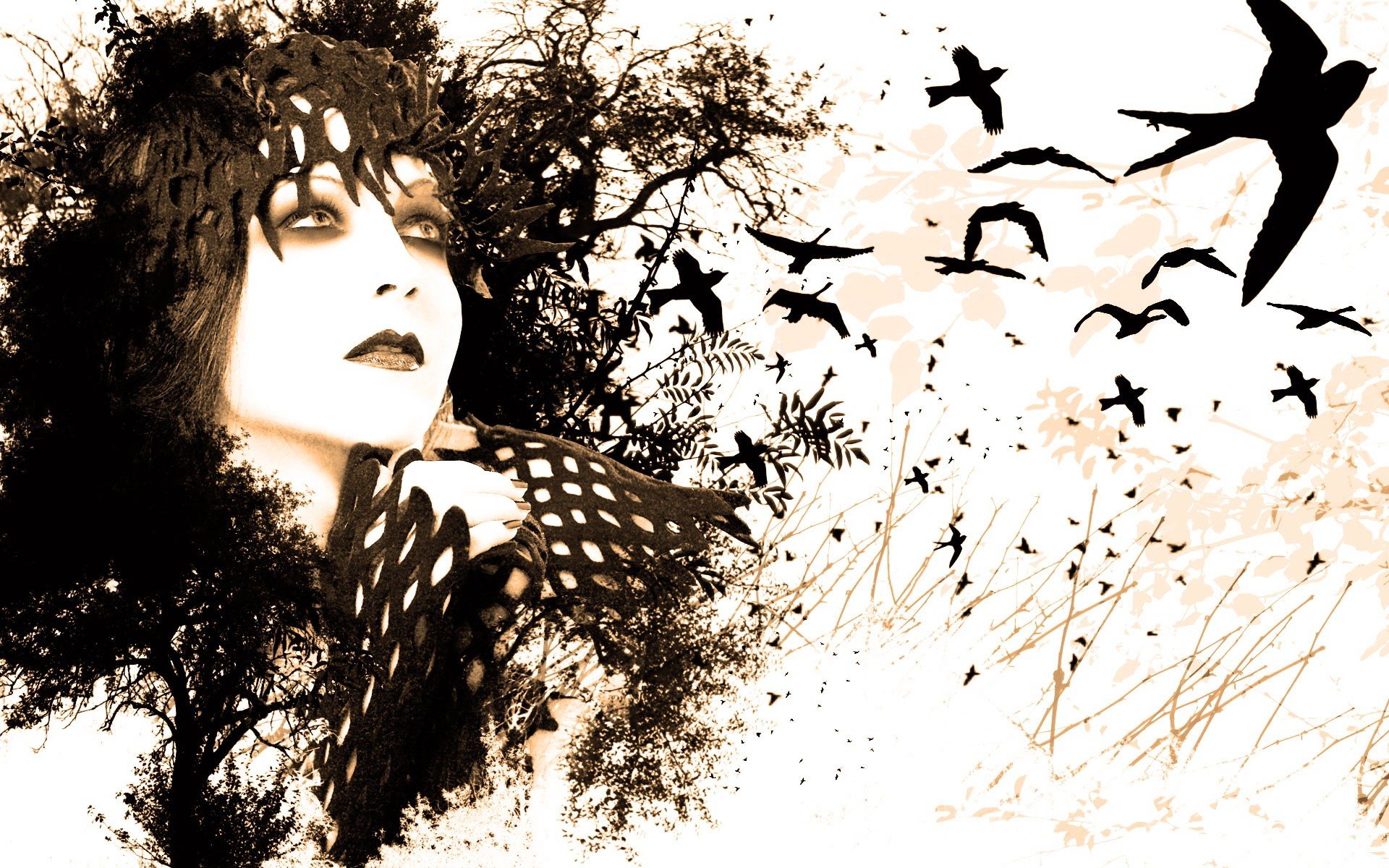women, Eyes, Black, White, Birds, Paint, Drawings, White, Background Wallpaper