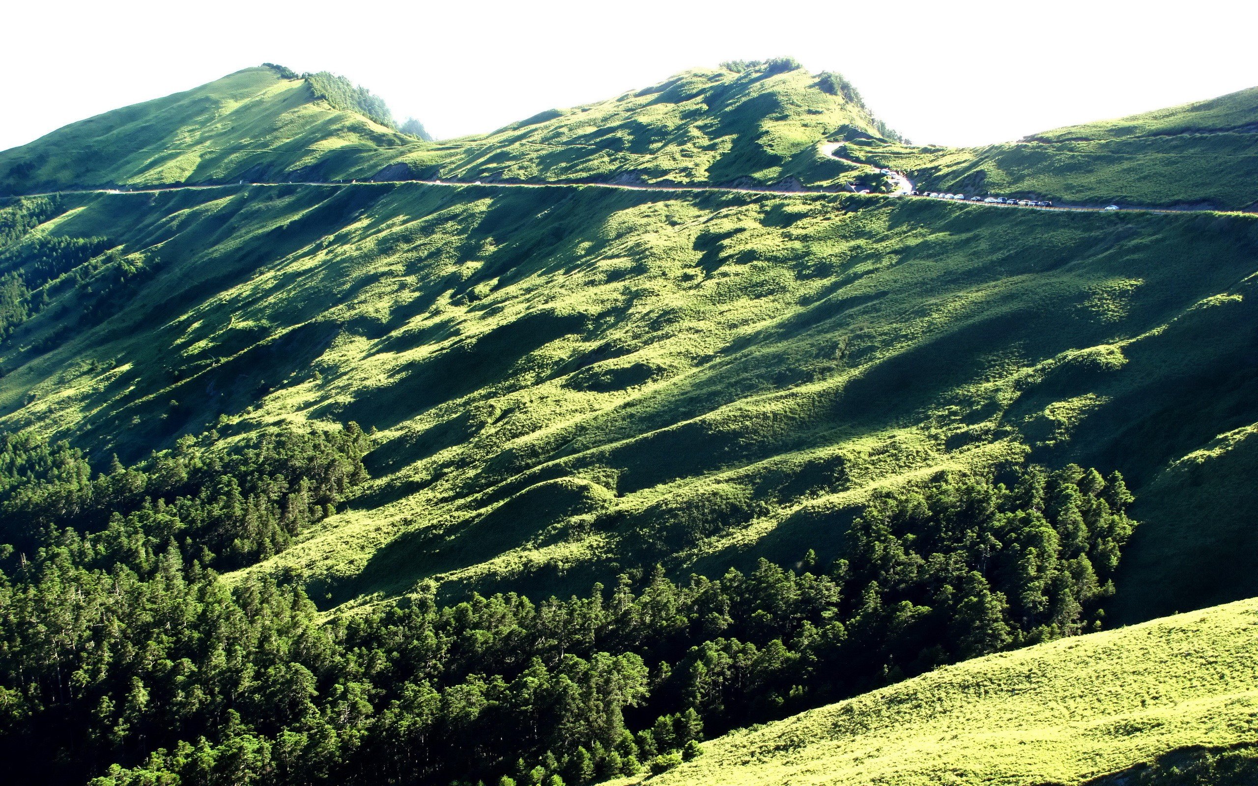 mountains, Landscapes, Nature, Trees, Forests, Grass, Hills, Hillside Wallpaper
