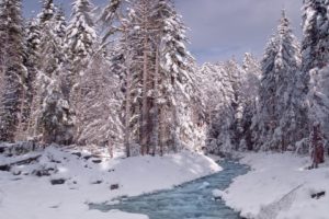 nature, Winter, Snow, National, Park, Washington, Mount, Rainier