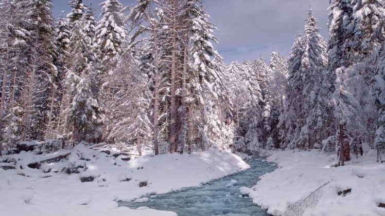 nature, Winter, Snow, National, Park, Washington, Mount, Rainier HD Wallpaper Desktop Background