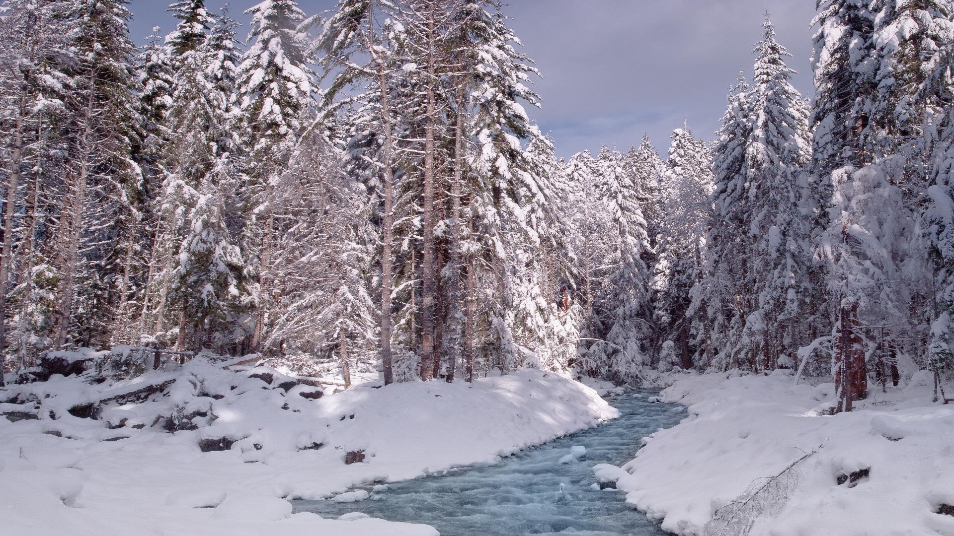 nature, Winter, Snow, National, Park, Washington, Mount, Rainier Wallpaper