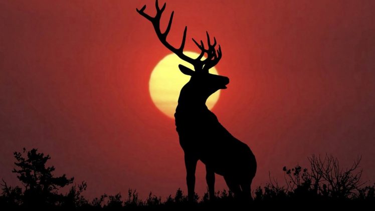deer, Artwork HD Wallpaper Desktop Background