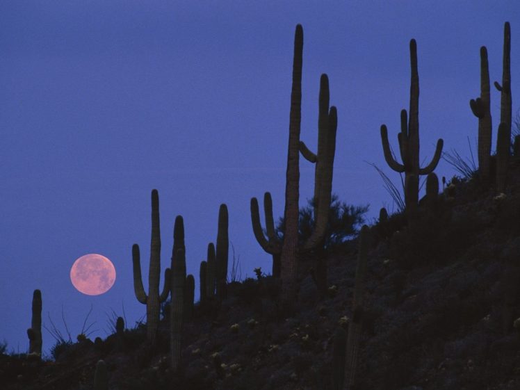 landscapes, Arizona, National, Full, Moon HD Wallpaper Desktop Background