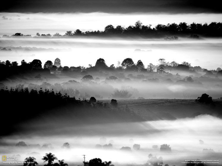 landscapes, Fog, National, Geographic, Grayscale, Australia, Queensland HD Wallpaper Desktop Background
