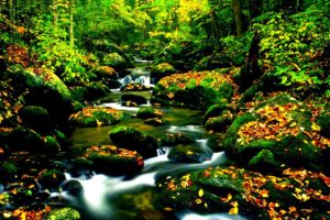 nature, Hdr, Photography, Rivers, Creek
