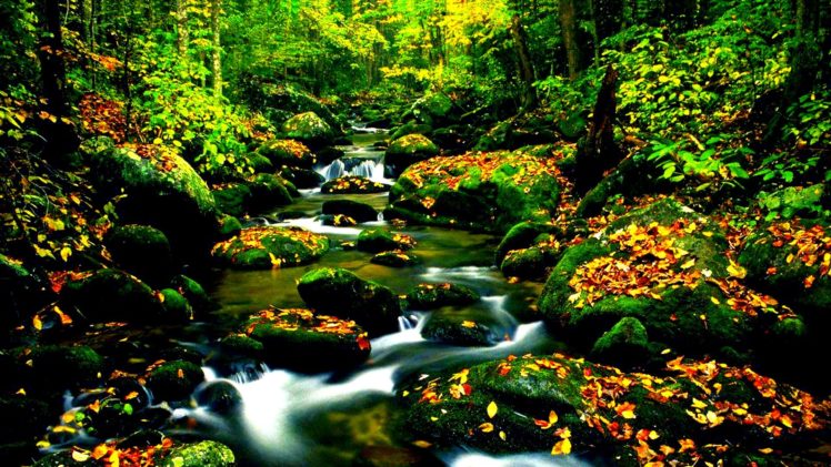 nature, Hdr, Photography, Rivers, Creek HD Wallpaper Desktop Background
