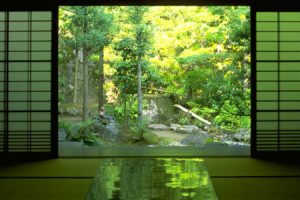 japan, Nature, Indoors, Zen