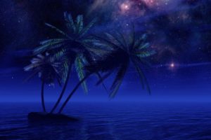water, Stars, Palm, Trees