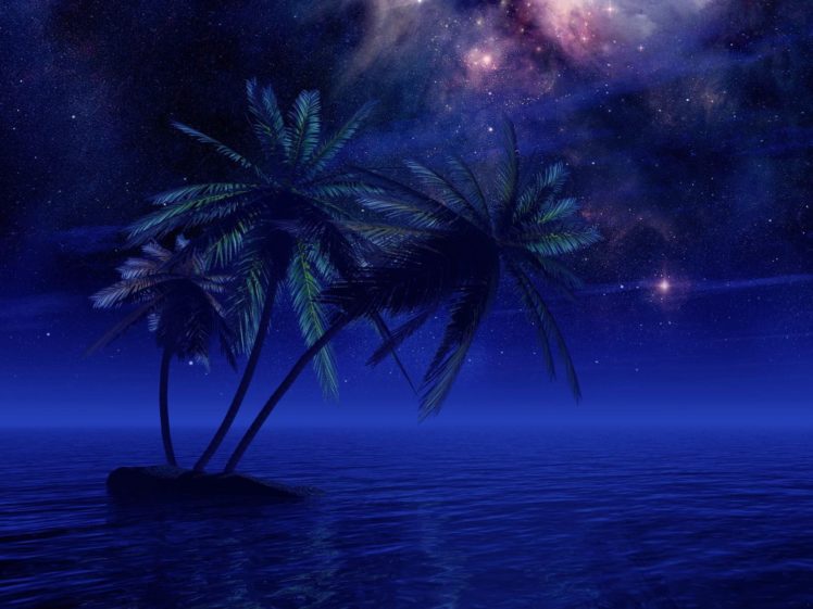 water, Stars, Palm, Trees HD Wallpaper Desktop Background