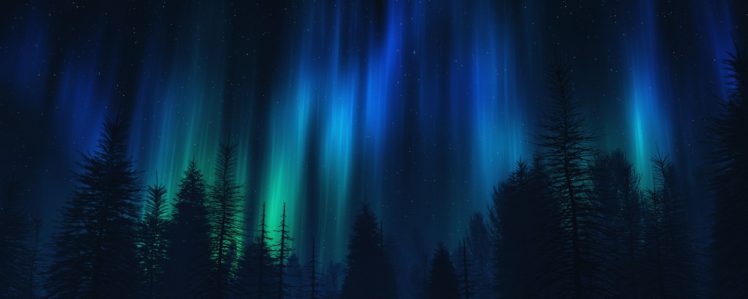 forests, Aurora, Borealis HD Wallpaper Desktop Background