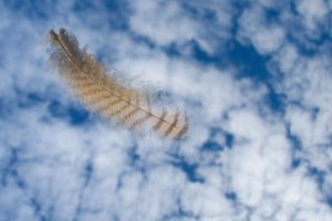 clouds, Landscapes, Nature, Feathers