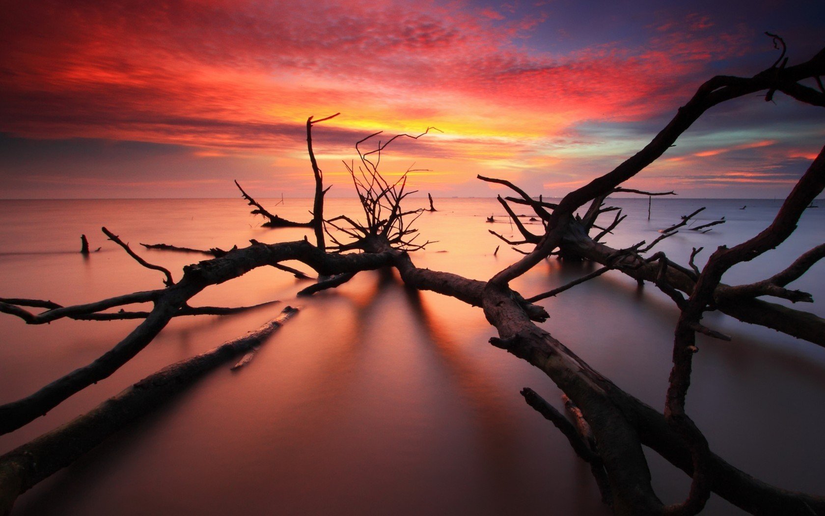 landscapes, Wood Wallpaper