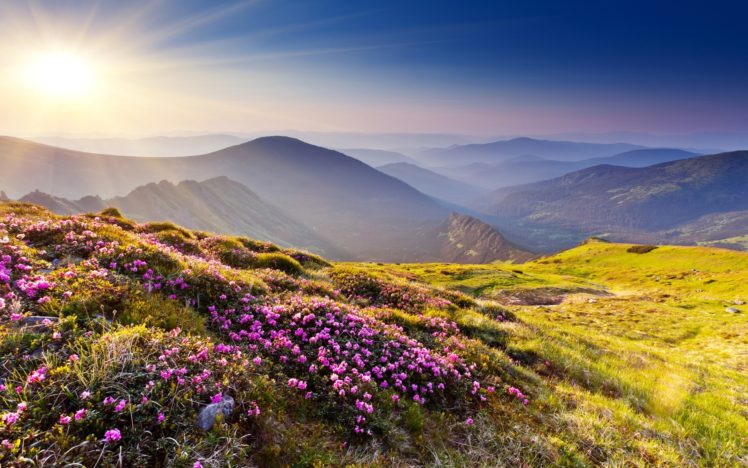 nature, Landscapes, Mountains, Hills, Plants, Flowers, Grass, Meadow, Scenic, Haze, Sun, Sunlight, Sky, View HD Wallpaper Desktop Background