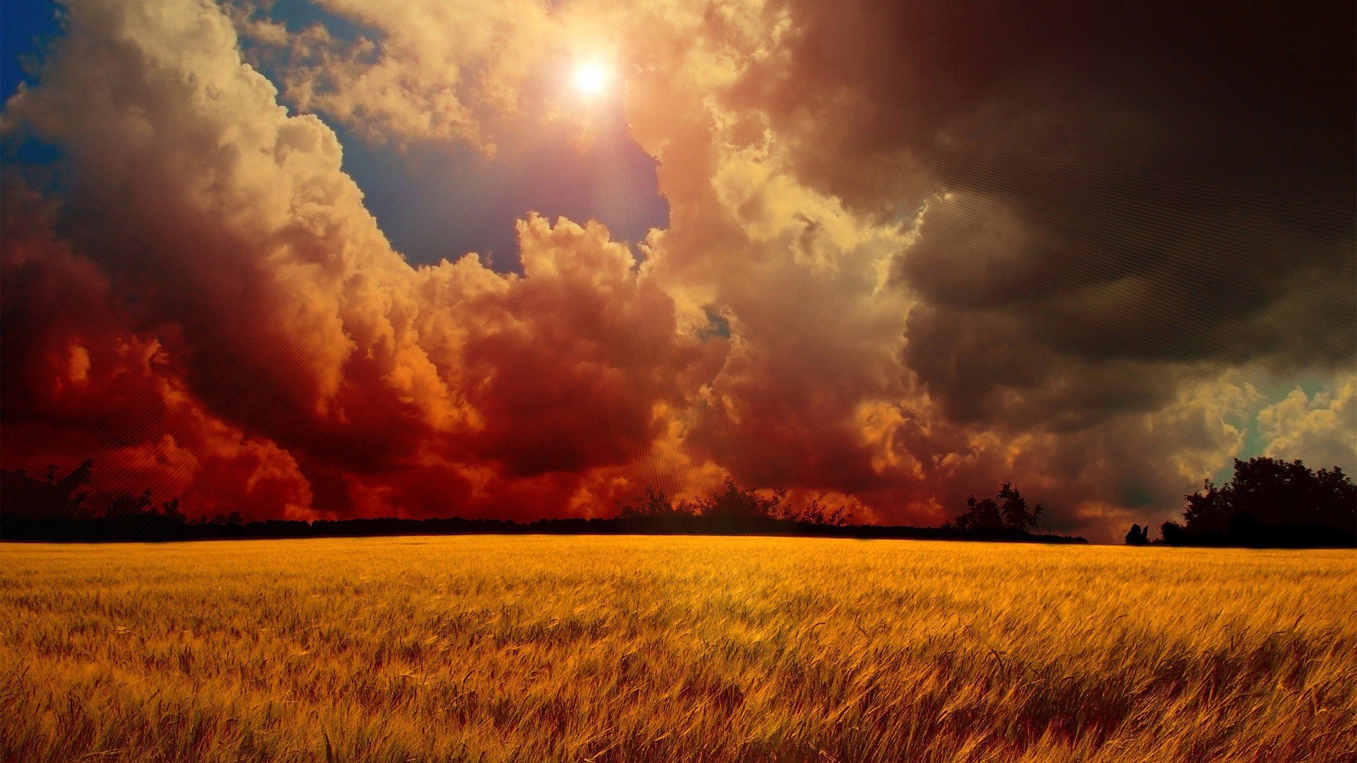 clouds, Storm, Wheat Wallpaper