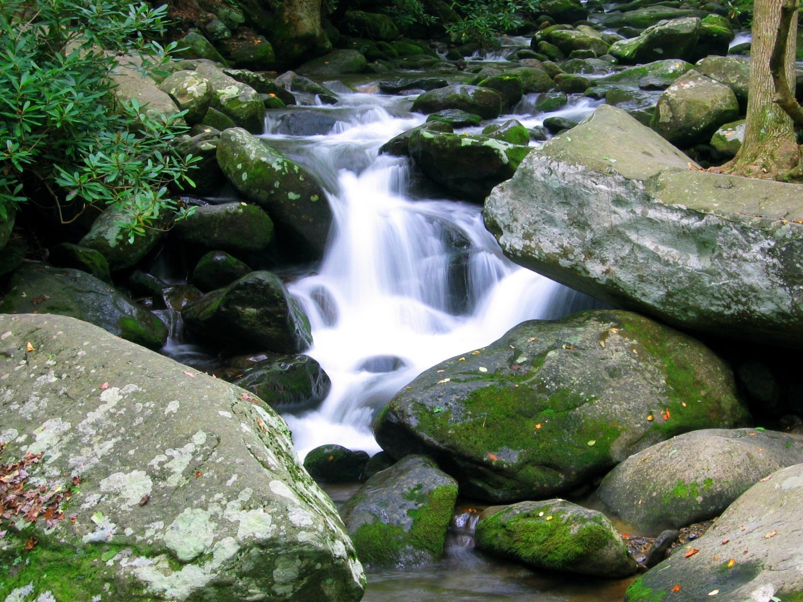 waterfalls Wallpaper