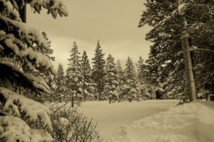 nature, Landscapes, Trees, Forests, Mountains, Winter, Snow, Seasons, Sky, Sepia