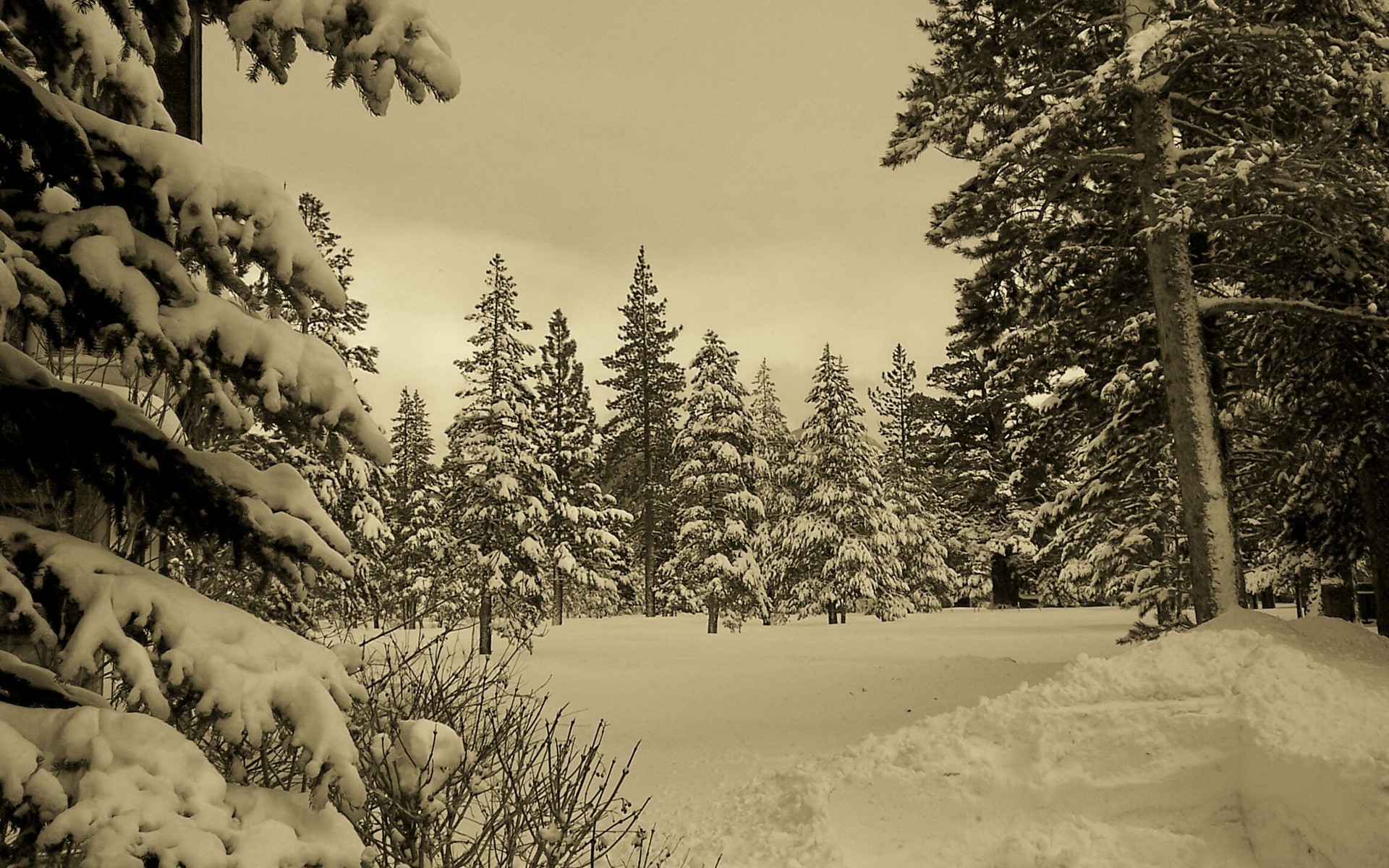 nature, Landscapes, Trees, Forests, Mountains, Winter, Snow, Seasons, Sky, Sepia Wallpaper