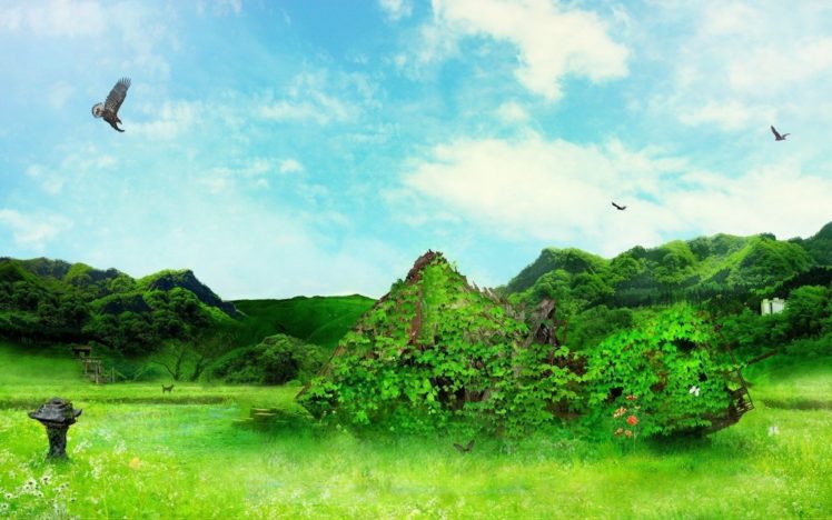 green, Landscapes, Nature, Birds, Leaves, Weeds HD Wallpaper Desktop Background