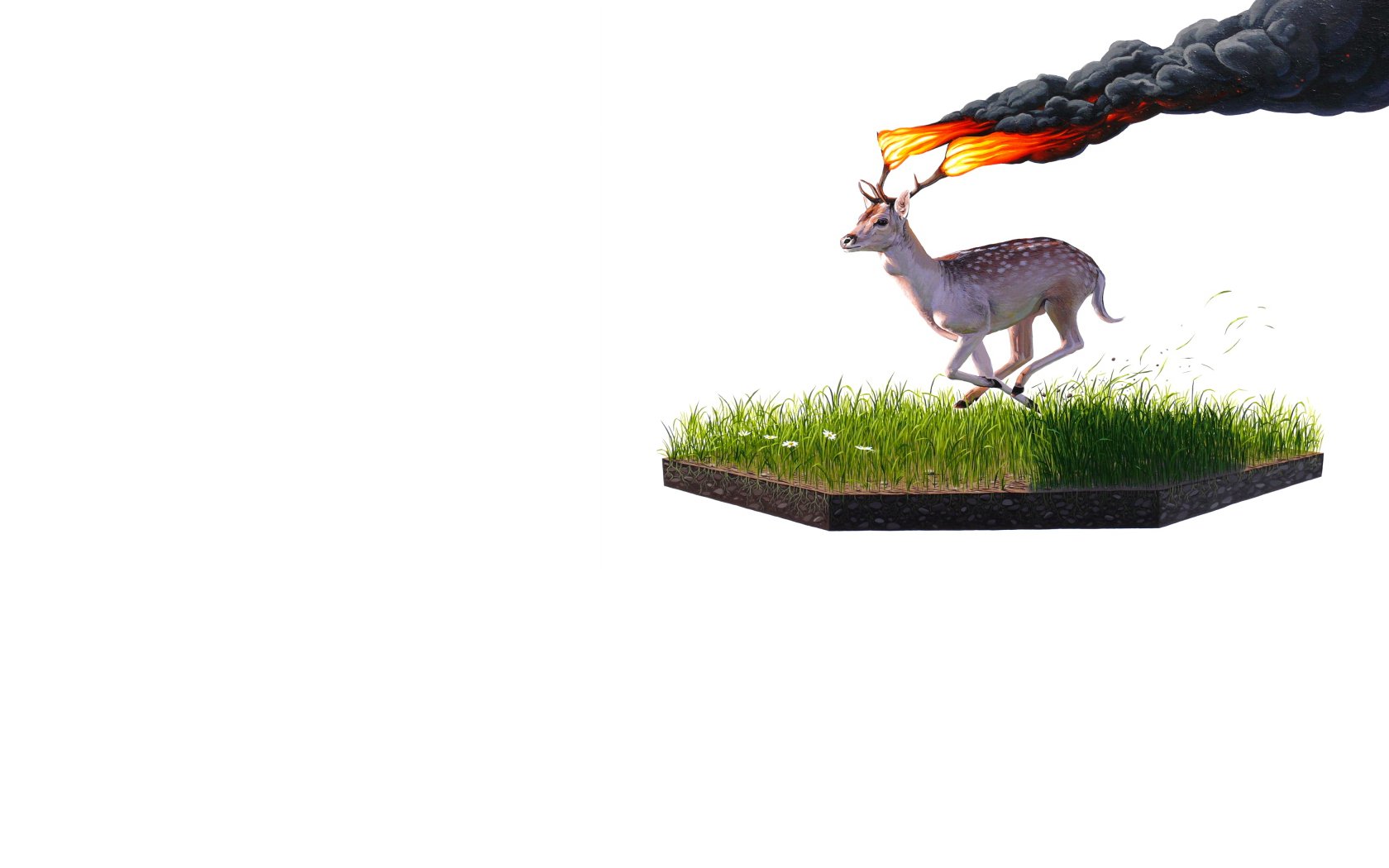 deer Wallpaper