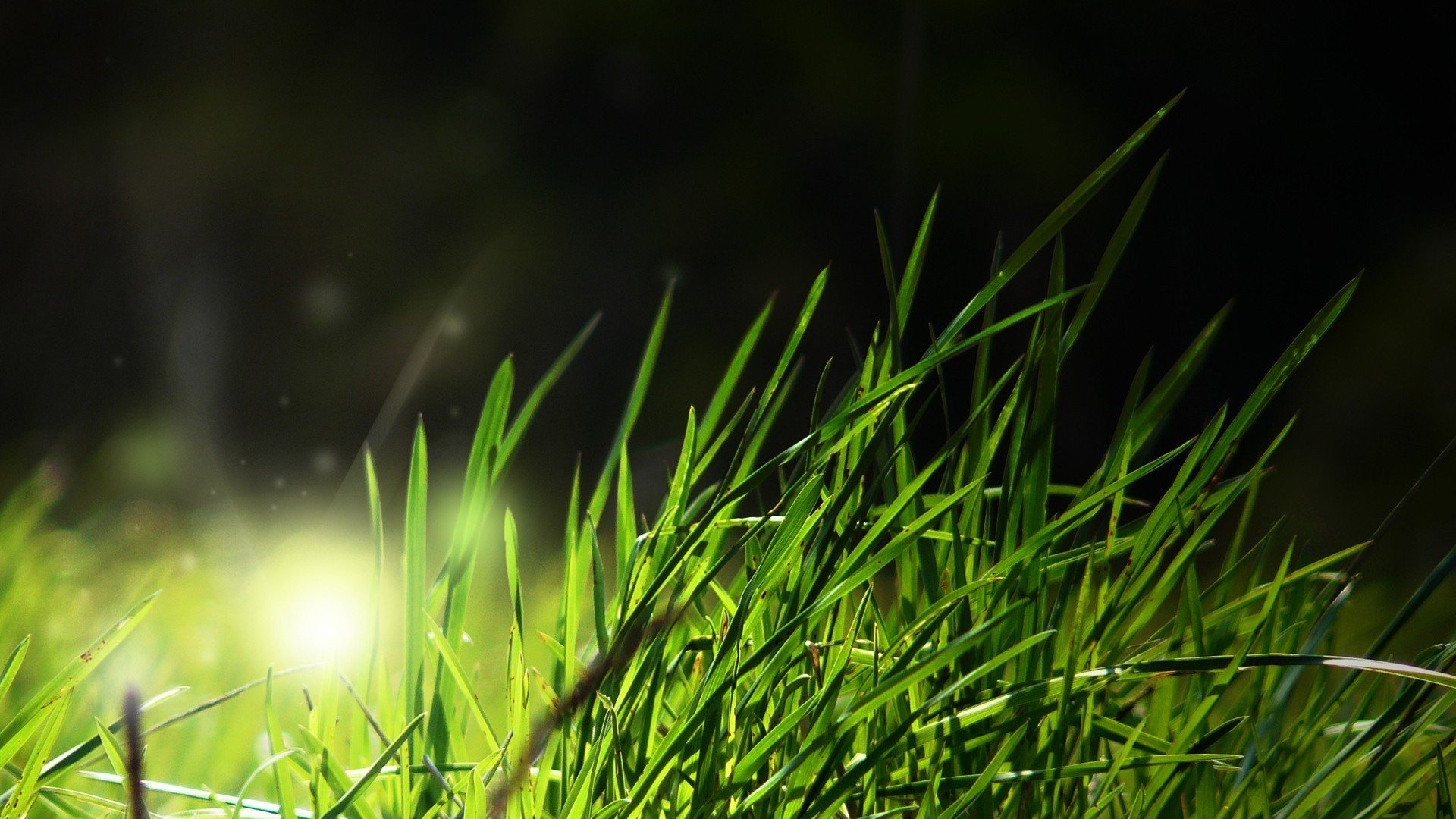 landscapes, Nature, Grass Wallpaper