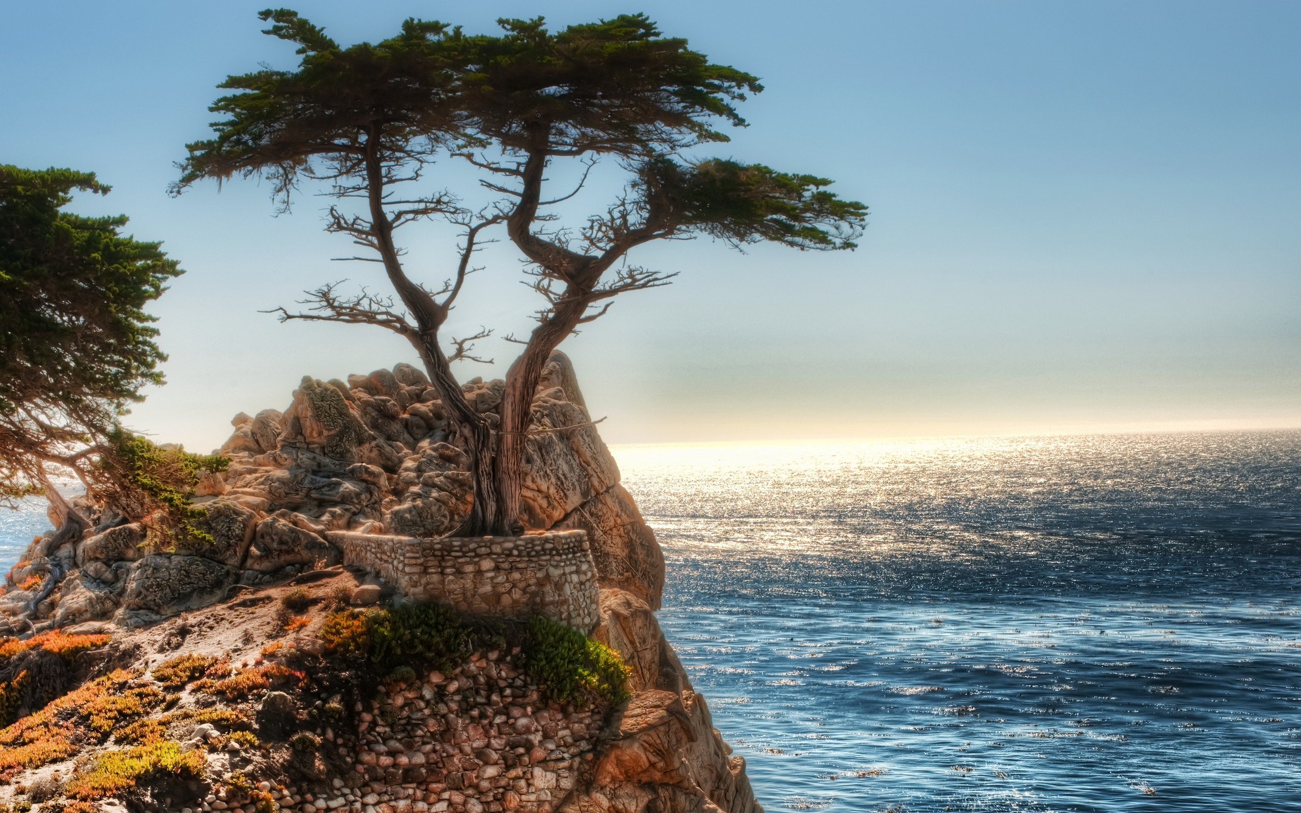 ocean, Landscapes, Nature, Coast, Trees, Cliffs, Artwork, Sea Wallpapers HD Desktop and Mobile Backgrounds