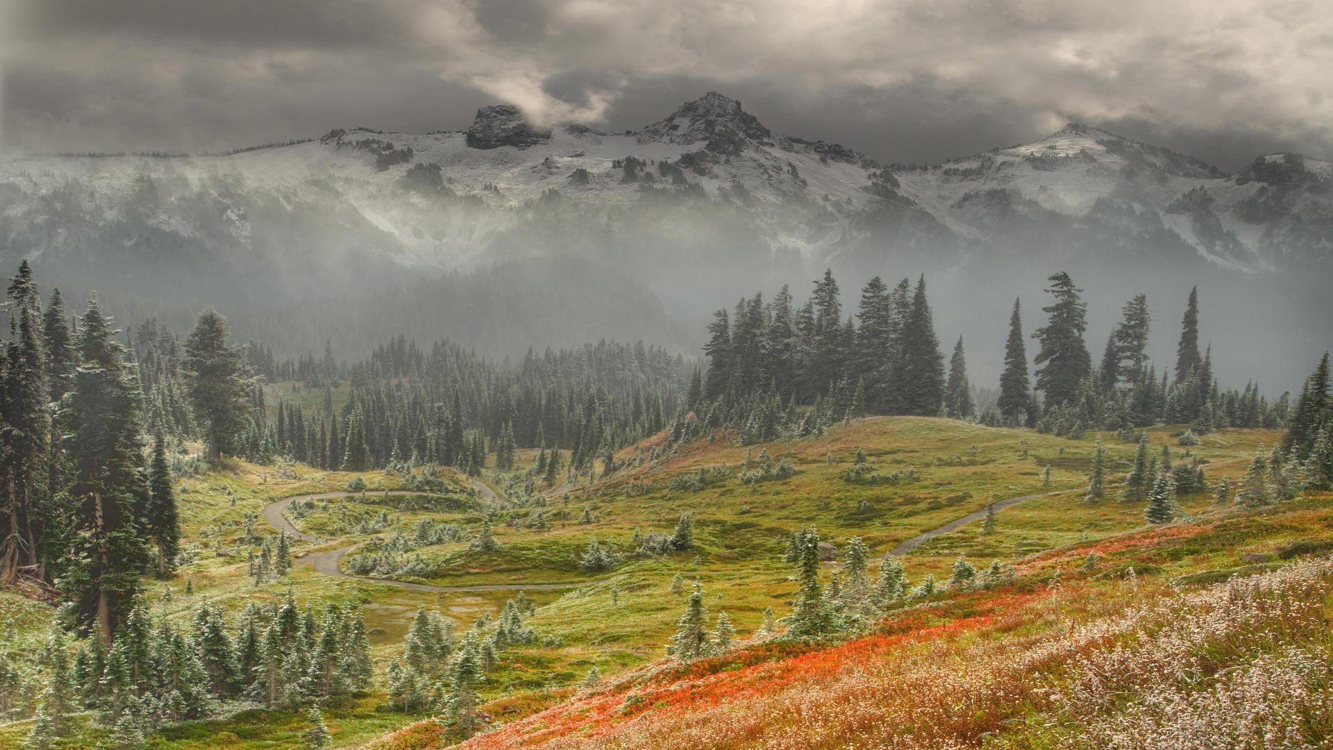 winter, Snow, Washington, Mount, Rainier Wallpaper