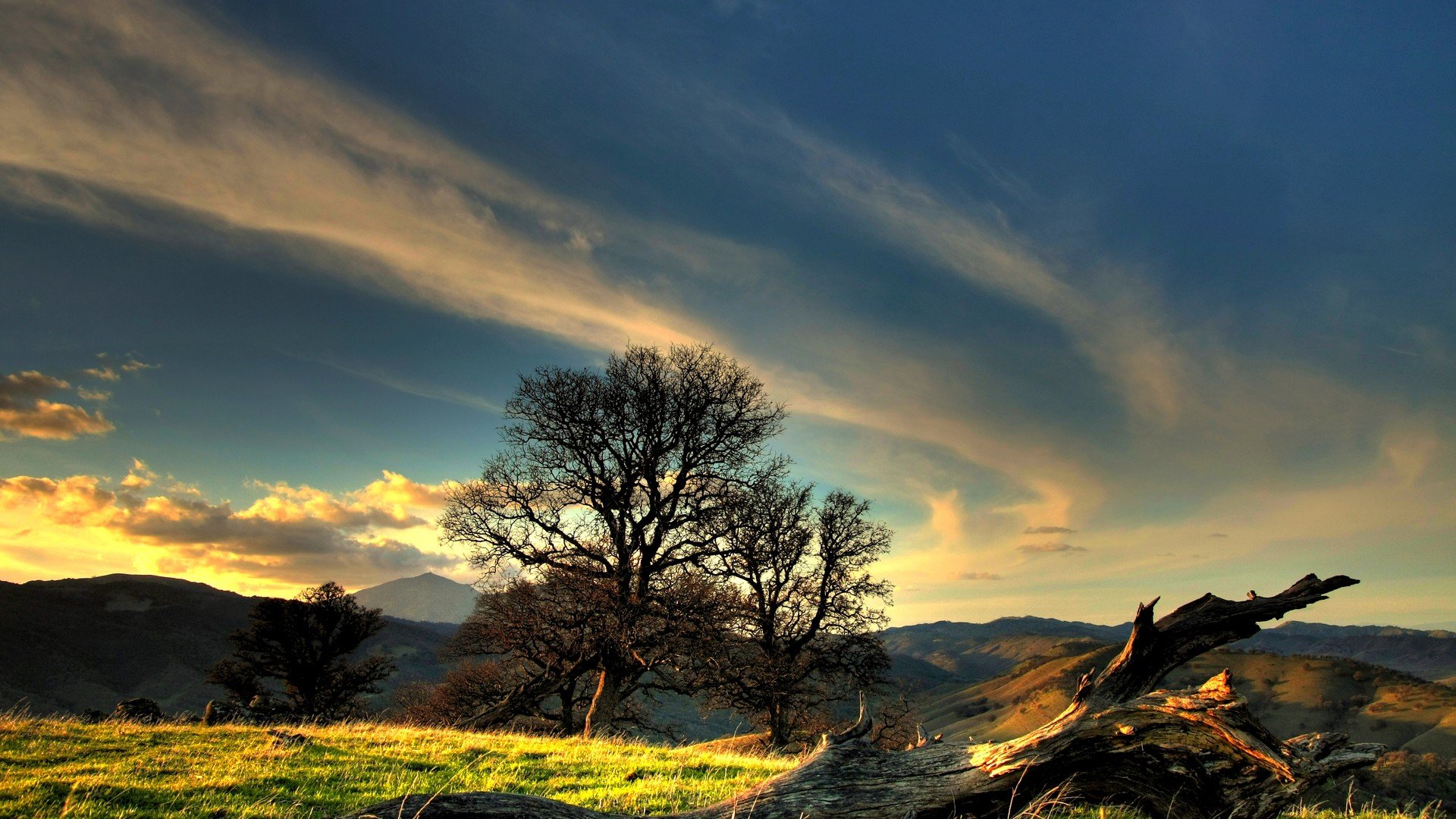landscapes, Trees, Skyscapes Wallpaper