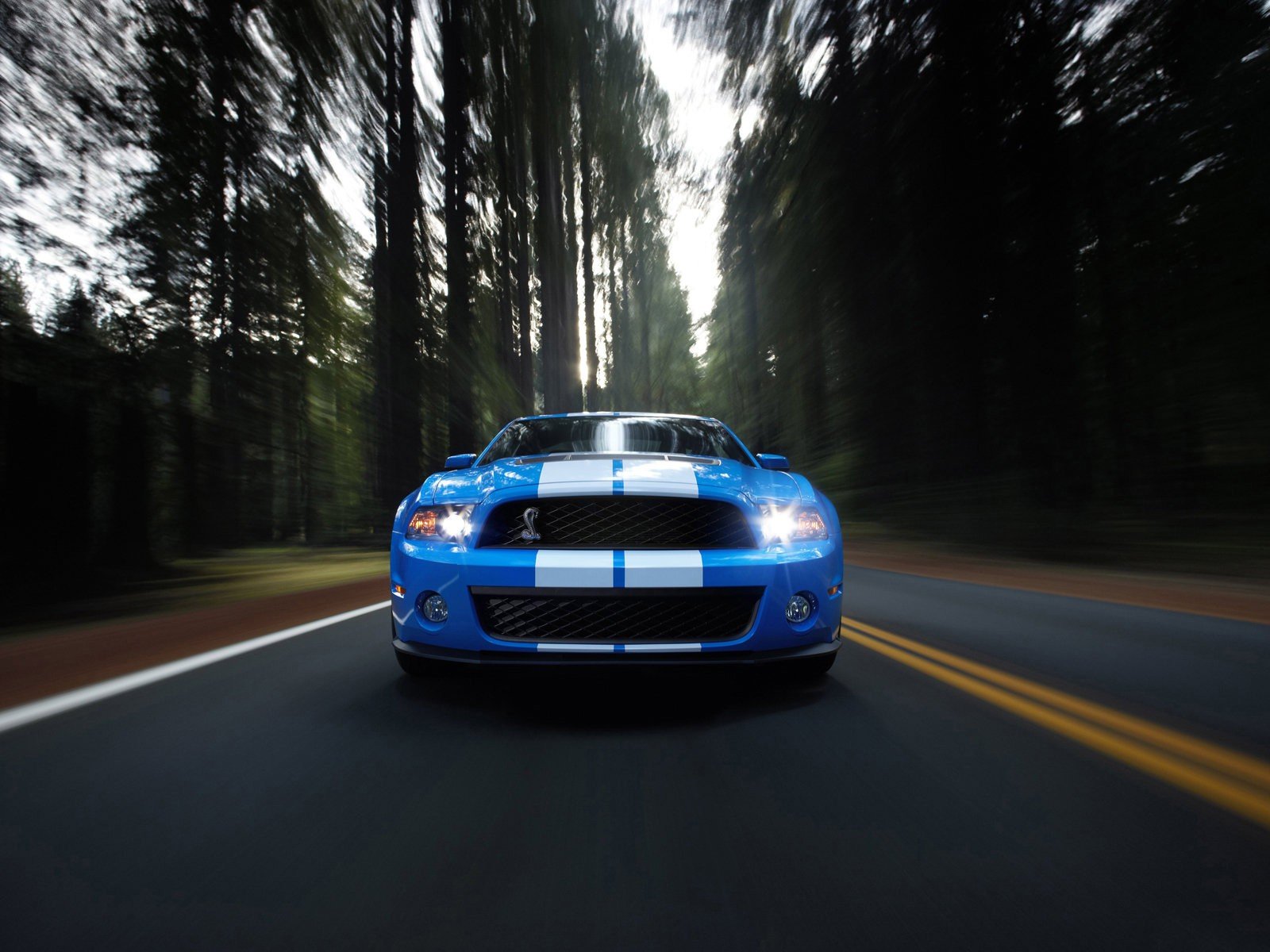 cars, Ford, Vehicles, Ford, Mustang, Ford, Shelby Wallpaper