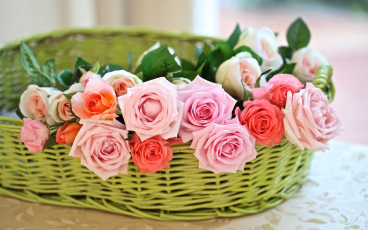 bouquets, Still, Life, Flowers, Basket, Pink, Petals, Plants HD Wallpaper Desktop Background