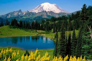 mountains, Landscapes, Nature, Forests, National, Park, Mount, Rainier, Washington, State