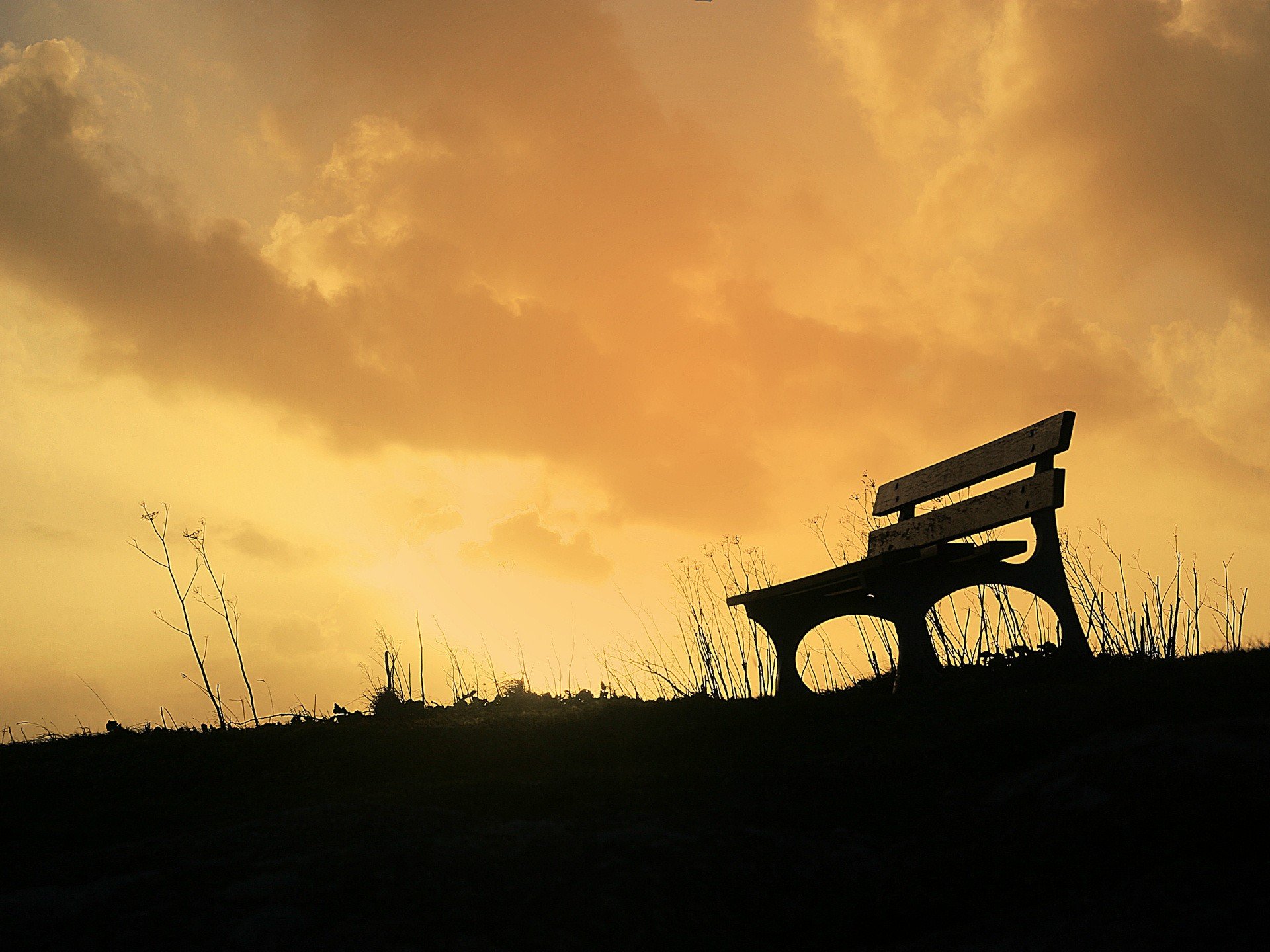 bench, Skyscapes Wallpaper
