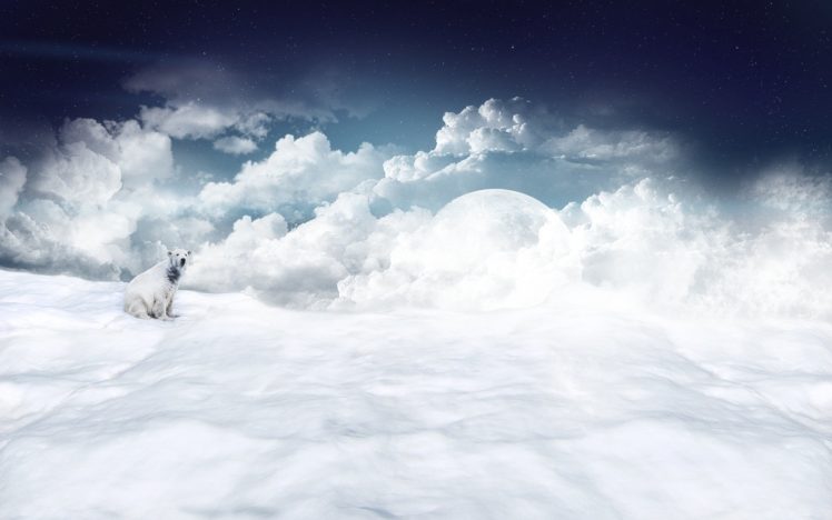 clouds, Snow, Moons, Polar, Bears HD Wallpaper Desktop Background