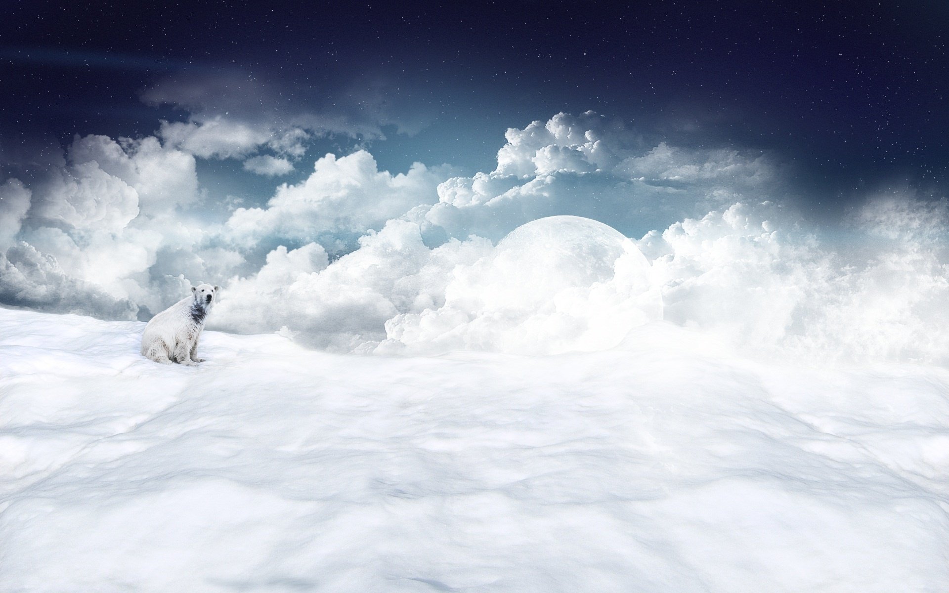 clouds, Snow, Moons, Polar, Bears Wallpaper