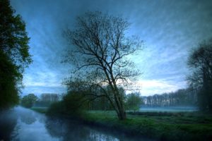 water, Landscapes, Trees, Fog, Outdoors, Hdr, Photography, Rivers, Reflections
