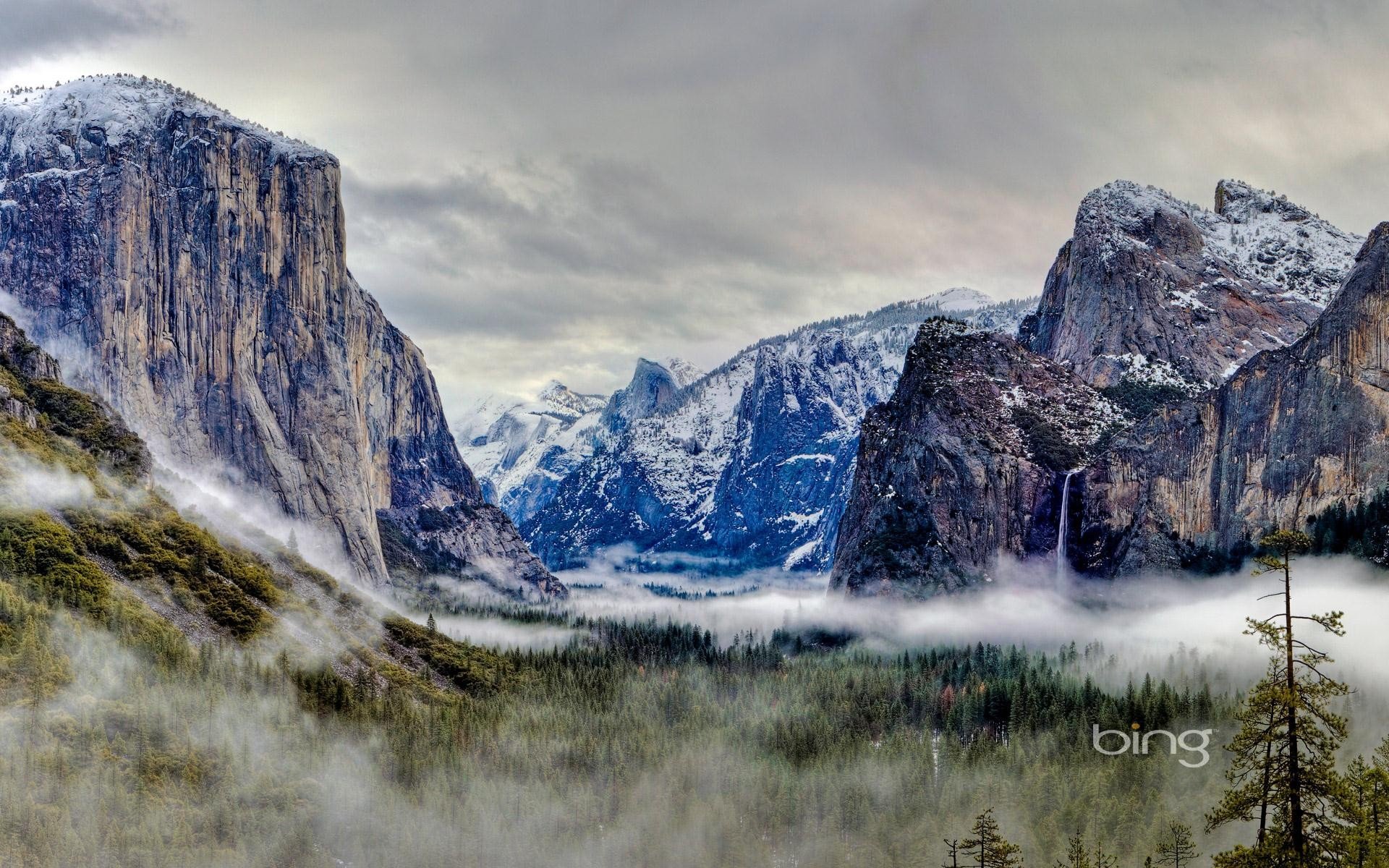 nature Wallpaper