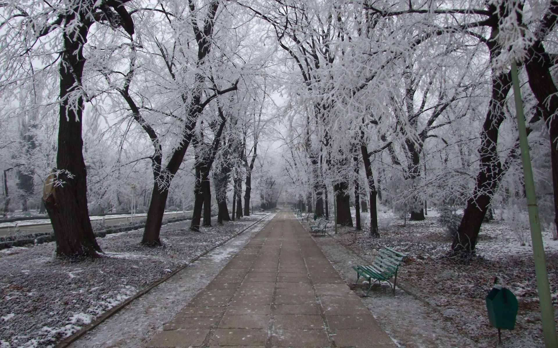 nature, Landscapes, Winter, Snow, Frost, Seasons, Park, Garden, Path, Sidewalk, Roads, Bench, Trees, Cold, Freezing, Ice Wallpaper