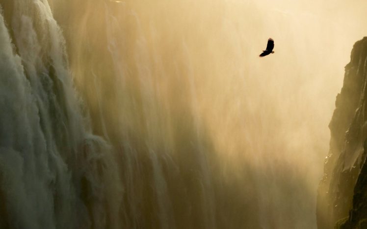 landscapes, Animals, Waterfalls HD Wallpaper Desktop Background