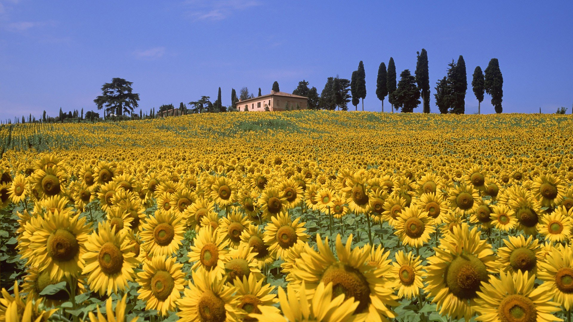 nature, Valleys, Italy, Tuscany Wallpaper