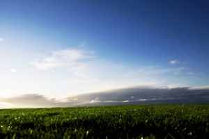 grass, Fields, Skyscapes