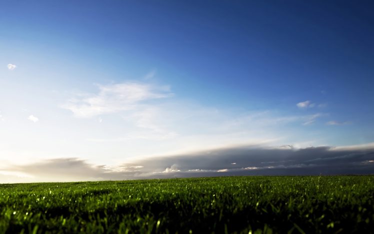 grass, Fields, Skyscapes HD Wallpaper Desktop Background
