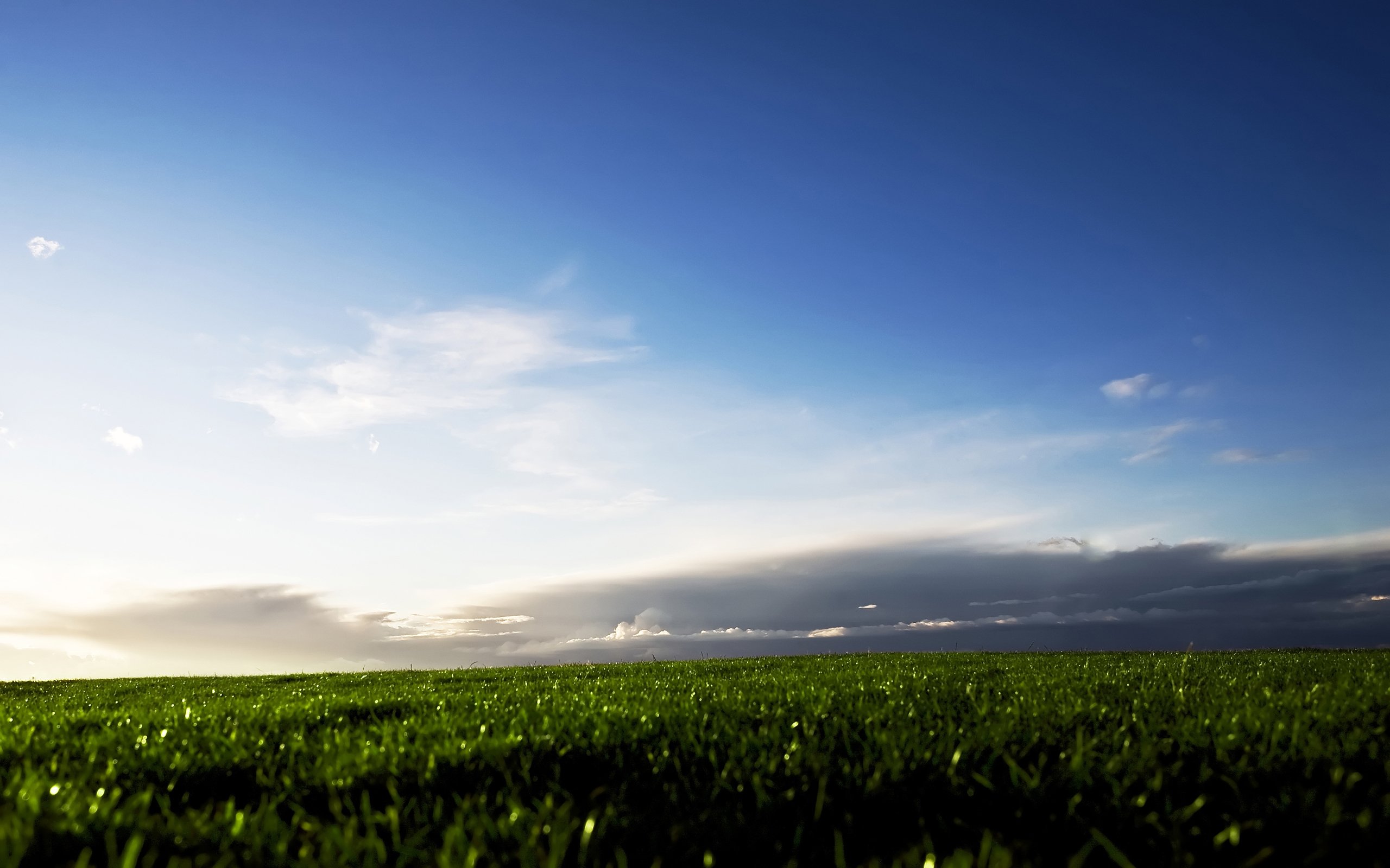 grass, Fields, Skyscapes Wallpaper