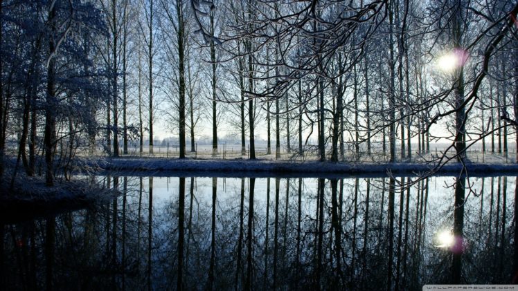 nature, Trees, Lakes HD Wallpaper Desktop Background