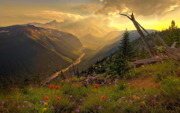 nature, Landscapes, Rivers, Hill, Flowers, Sky, Clouds, Sunset, Sunrise, Sunlight, Meadow, Trees, Forest, Scenic, View, Streams HD Wallpaper Desktop Background
