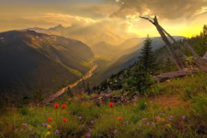 nature, Landscapes, Rivers, Hill, Flowers, Sky, Clouds, Sunset, Sunrise, Sunlight, Meadow, Trees, Forest, Scenic, View, Streams