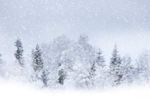 nature, Landscapes, Trees, Forest, Winter, Snow, Seasons, Snowing, Snowfall, Flakes, Blizzard, Storm, White