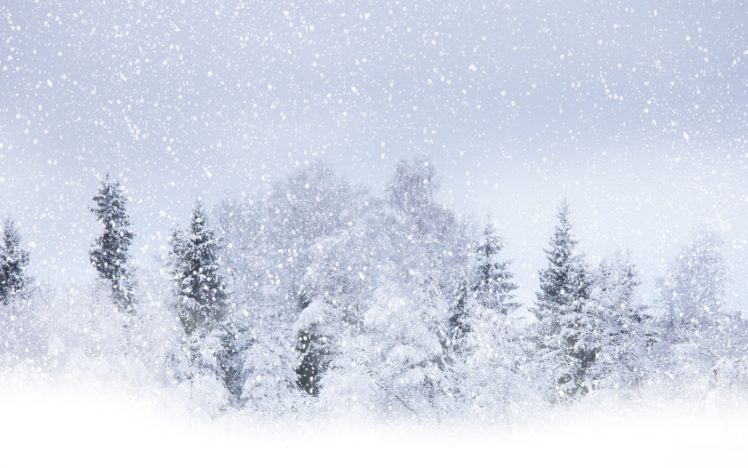 nature, Landscapes, Trees, Forest, Winter, Snow, Seasons, Snowing, Snowfall, Flakes, Blizzard, Storm, White HD Wallpaper Desktop Background