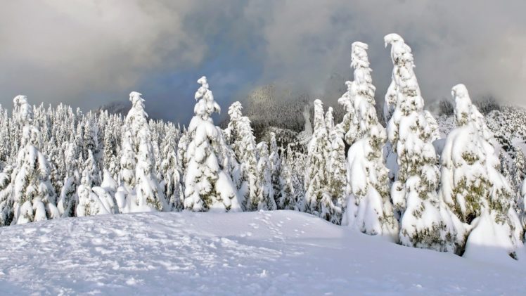 landscapes, Nature, Snow, Forests HD Wallpaper Desktop Background