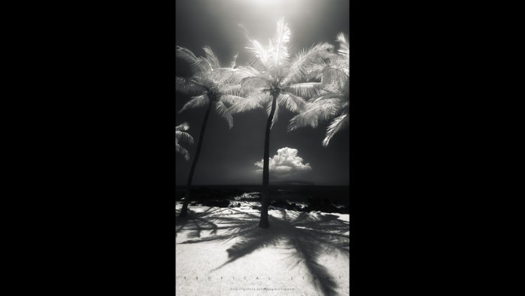 landscapes, Tropical, Greg, Martin, Tropical, Island HD Wallpaper Desktop Background